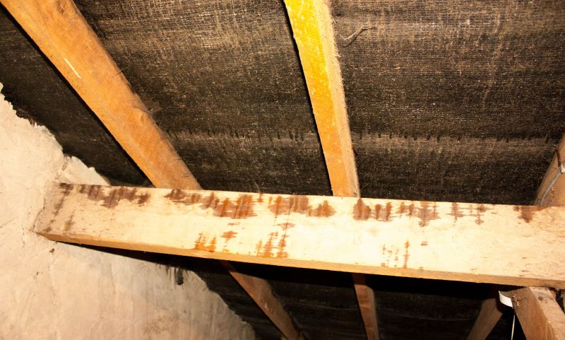 Building Damage Repair in Denver, CO