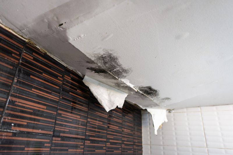 Attic Water Damage Repair in Littleton, CO